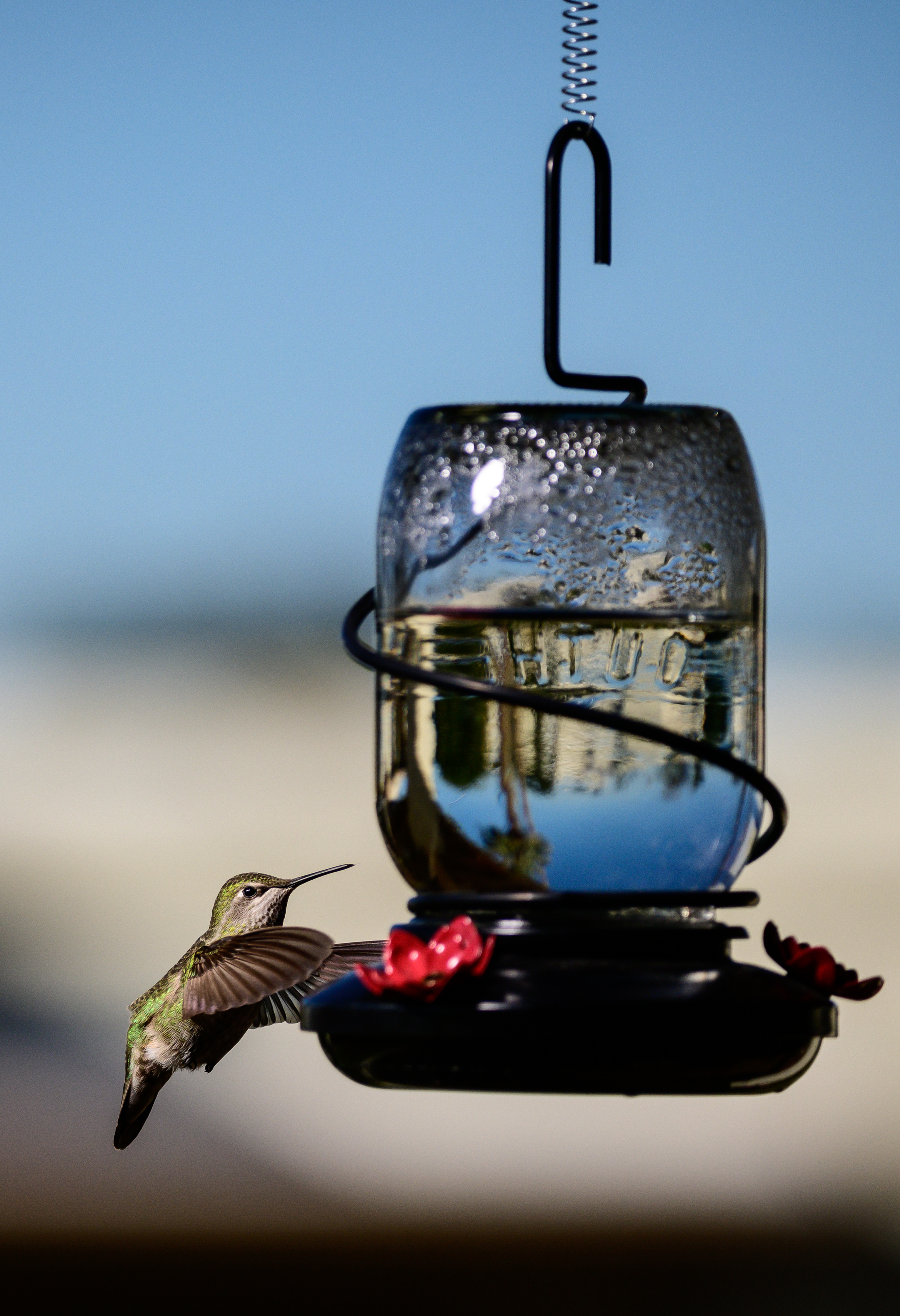 DSC_0587-Edit.jpg