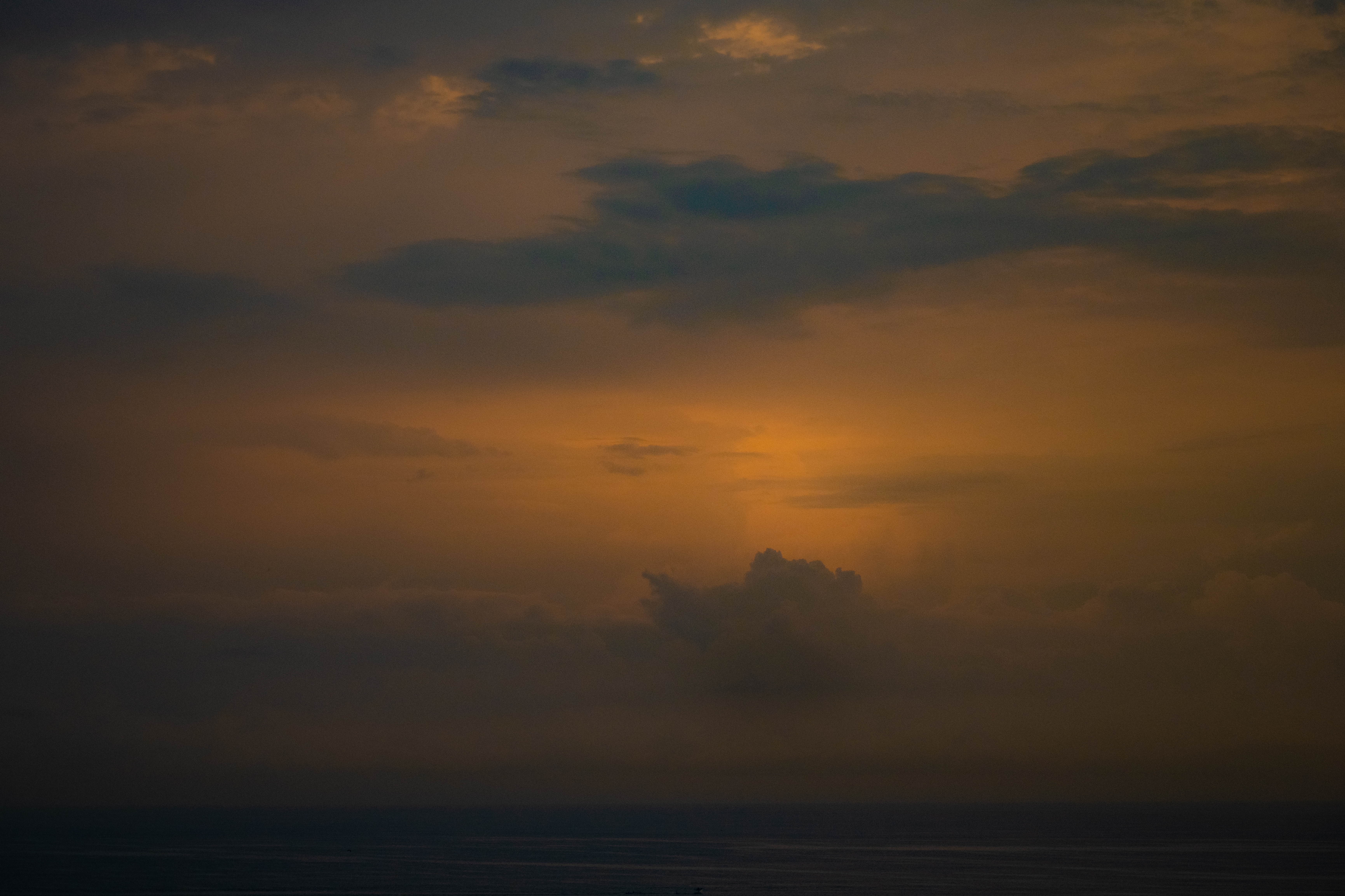 DSC_8508.jpg